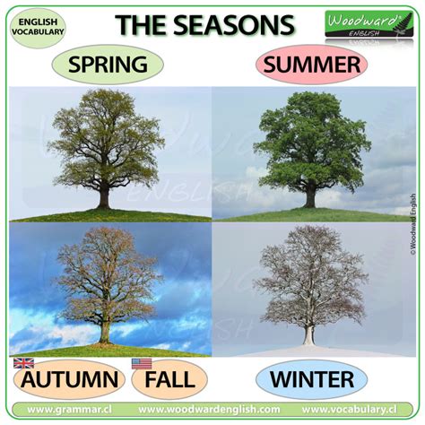 Seasons: Dates of Spring, Summer, Fall & Winter.